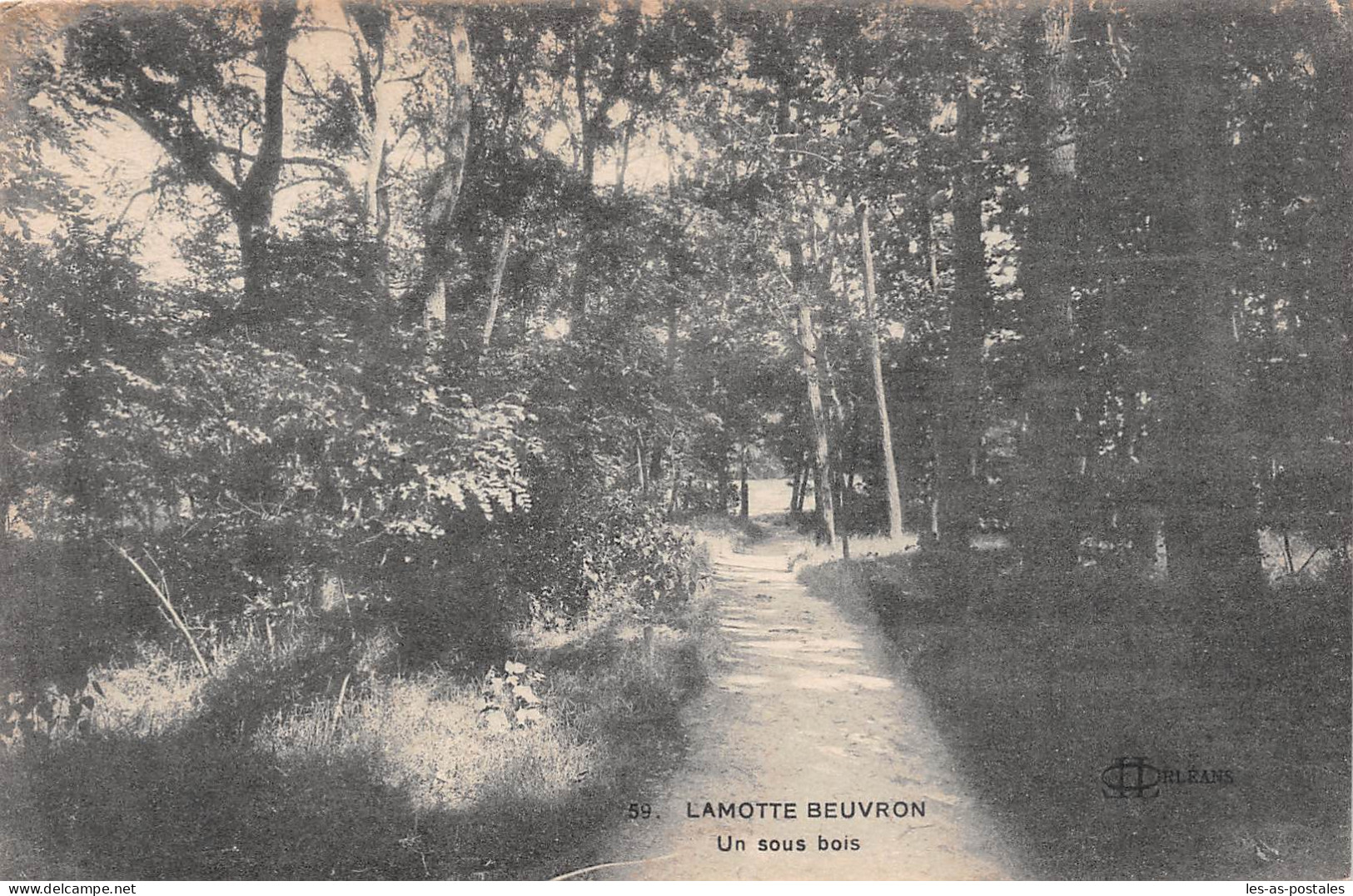 41 LAMOTTE BEUVRON - Lamotte Beuvron