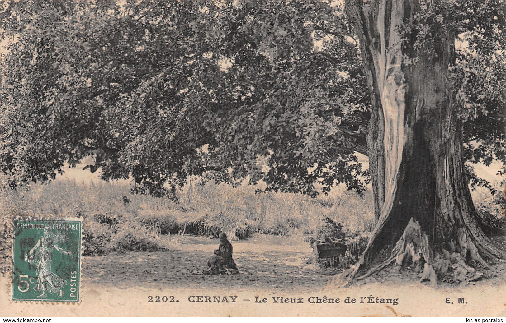 78 CERNAY CHENE DE L ETANG - Cernay-la-Ville