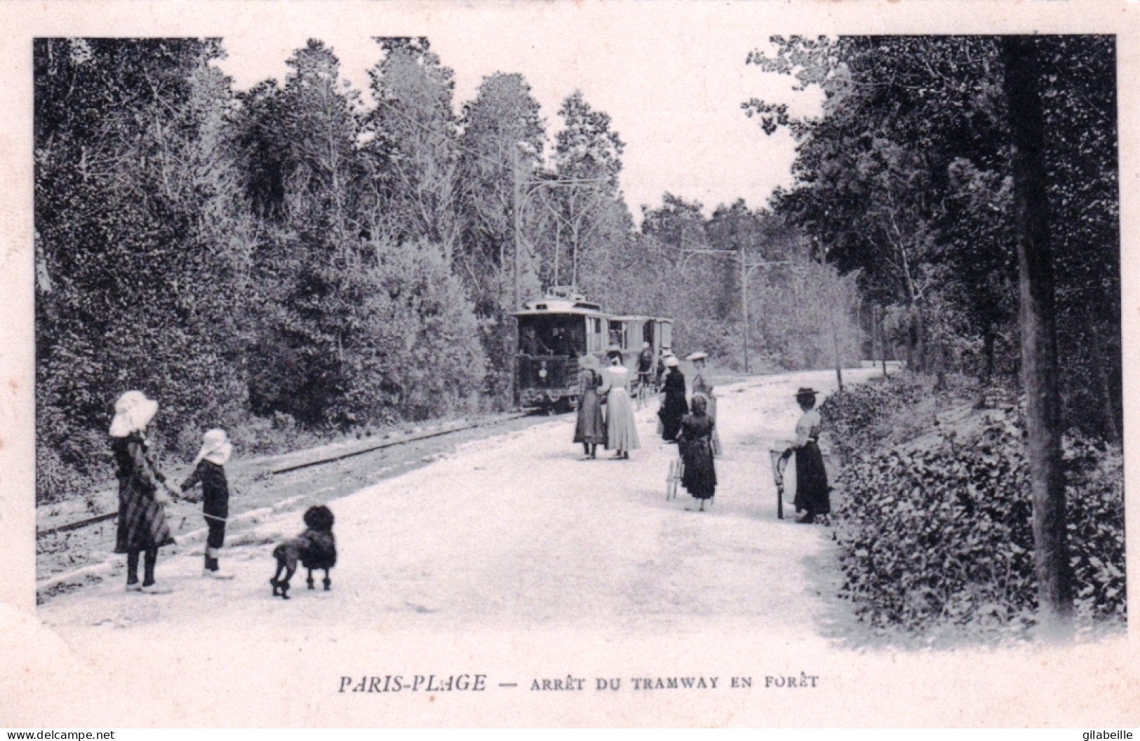 62  - LE TOUQUET - PARIS - PLAGE - Arret Du Tramway En Foret - Le Touquet