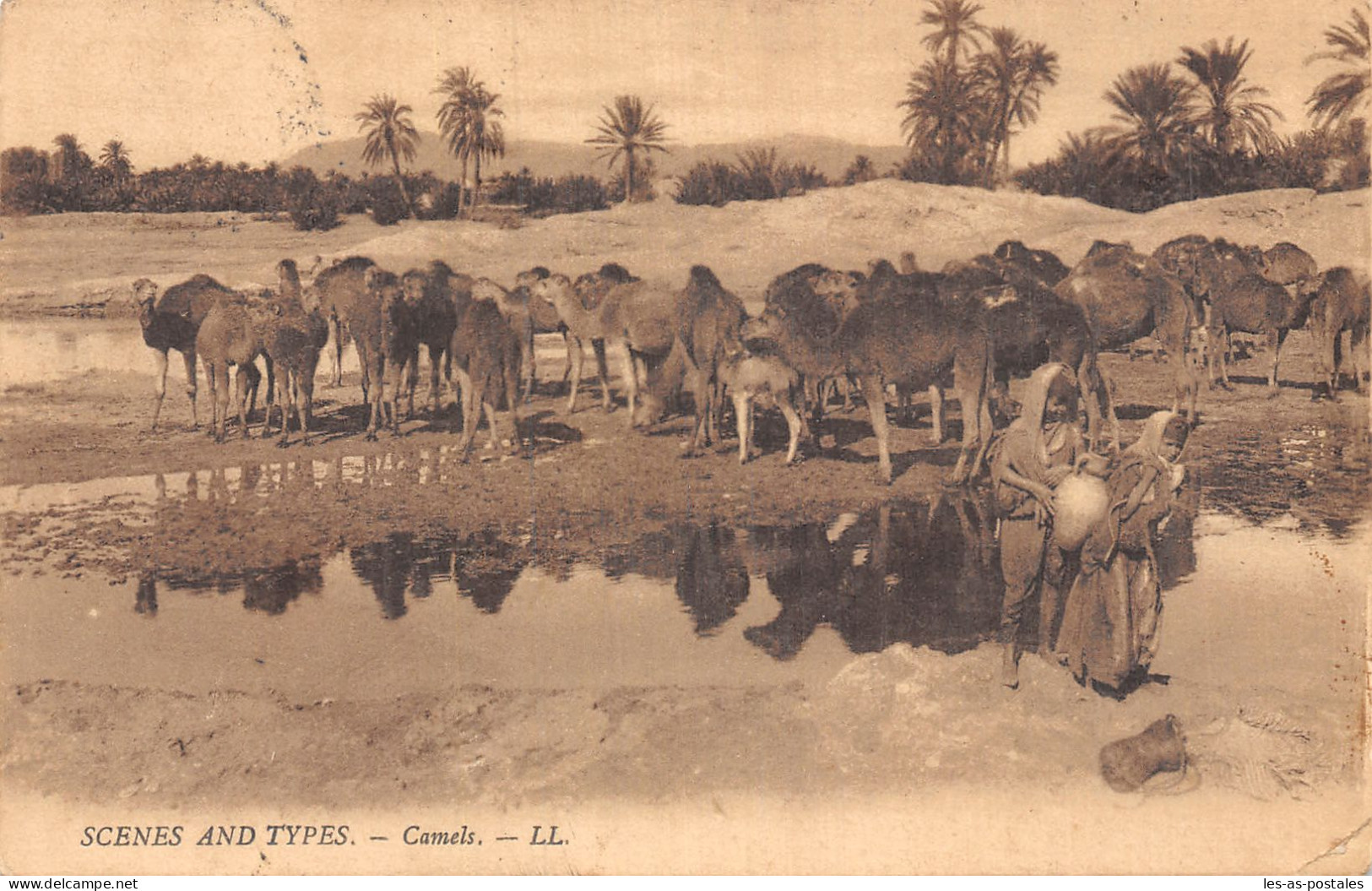 EGYPT LE CAIRE SCENES AND TYPES CAMELS - Caïro