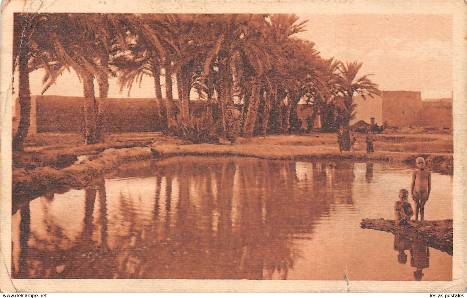 ALGERIE BISKRA LA PALMERAIE - Biskra