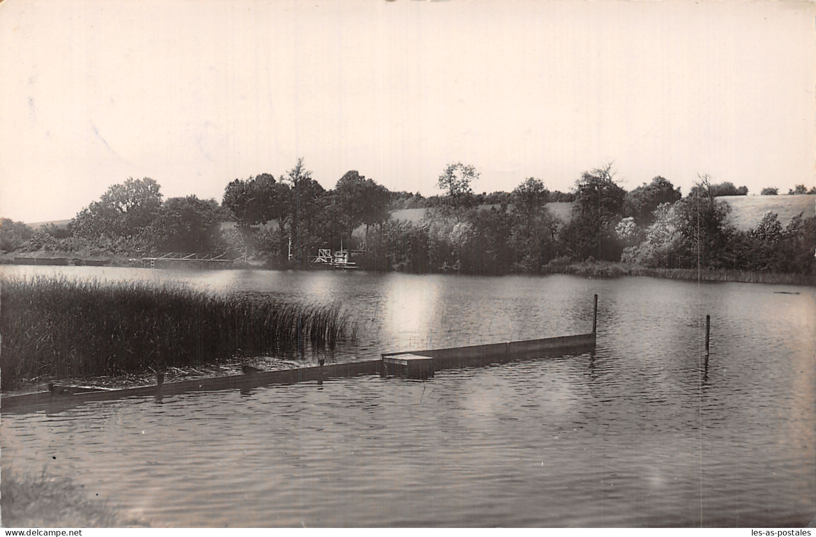 61 MORTAGNE BAIGNADE DE L ETANG - Mortagne Au Perche