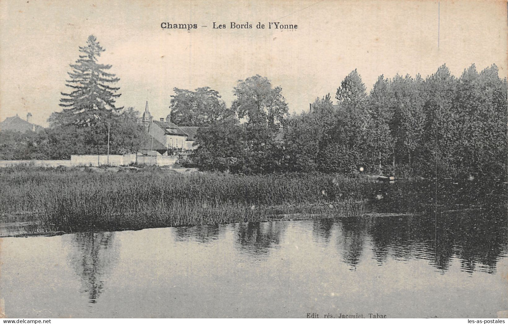 89 CHAMPS LES BORDS DE L YONNE - Champs Sur Yonne