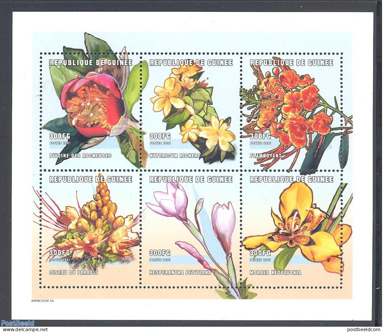 Guinea, Republic 2001 Flowers 6v M/s (6x300F), Mint NH, Nature - Flowers & Plants - Roses - Sonstige & Ohne Zuordnung