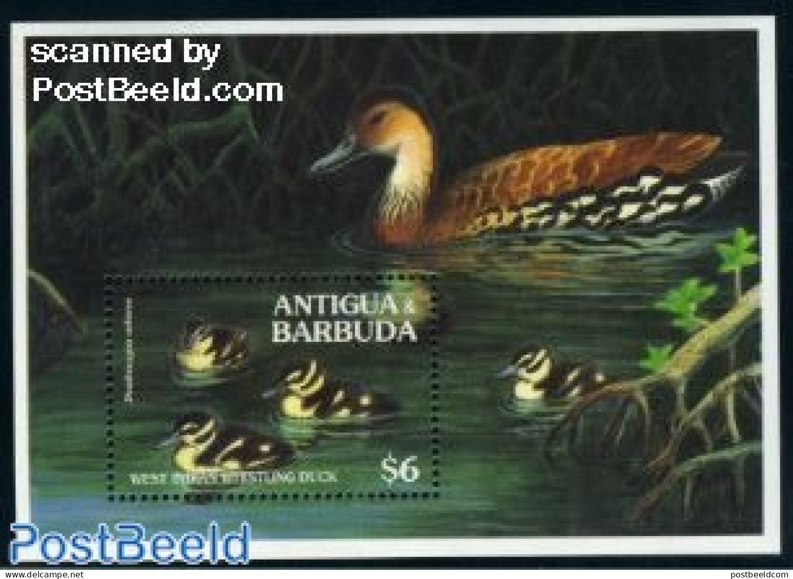 Antigua & Barbuda 1994 Duck S/s, Mint NH, Nature - Birds - Ducks - Antigua Et Barbuda (1981-...)
