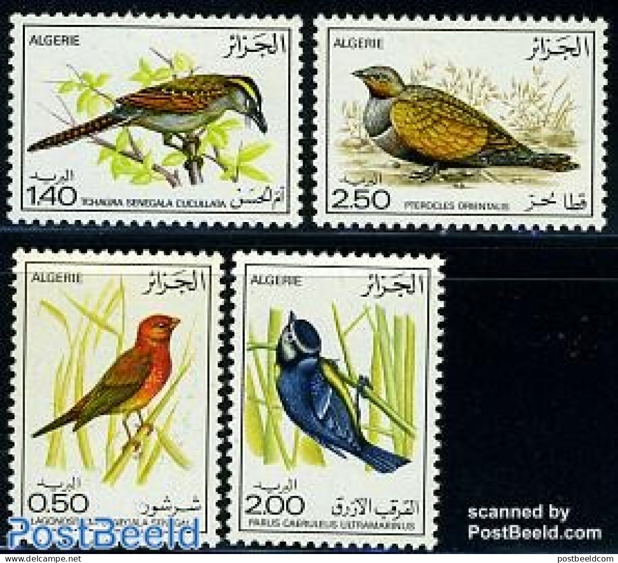Algeria 1976 Birds 4v, Mint NH, Nature - Birds - Unused Stamps