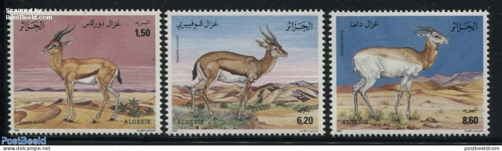 Algeria 1992 Gazelles 3v, Mint NH, Nature - Animals (others & Mixed) - Unused Stamps