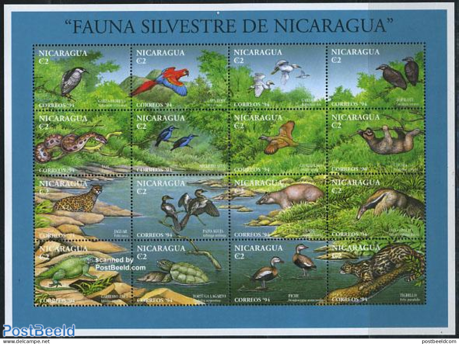Nicaragua 1994 Animals 16v M/s, Mint NH, Nature - Animals (others & Mixed) - Birds - Cat Family - Parrots - Reptiles -.. - Nicaragua