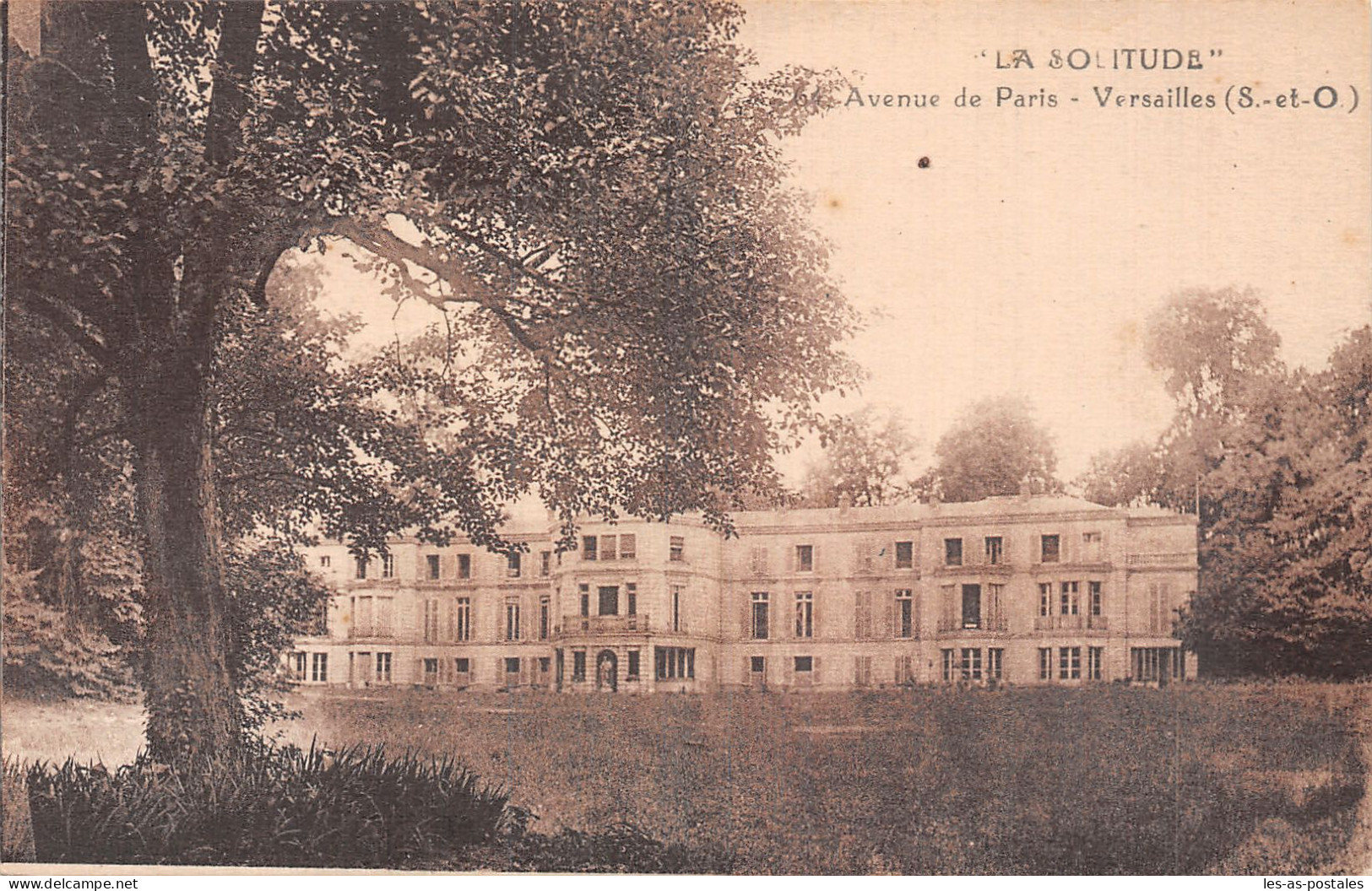 78 VERSAILLES AVENUE DU PARC - Versailles (Château)