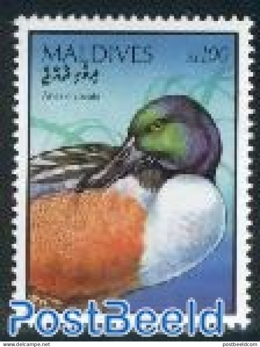 Maldives 1998 Definitive, Duck 1v (100R), Mint NH, Nature - Birds - Ducks - Malediven (1965-...)