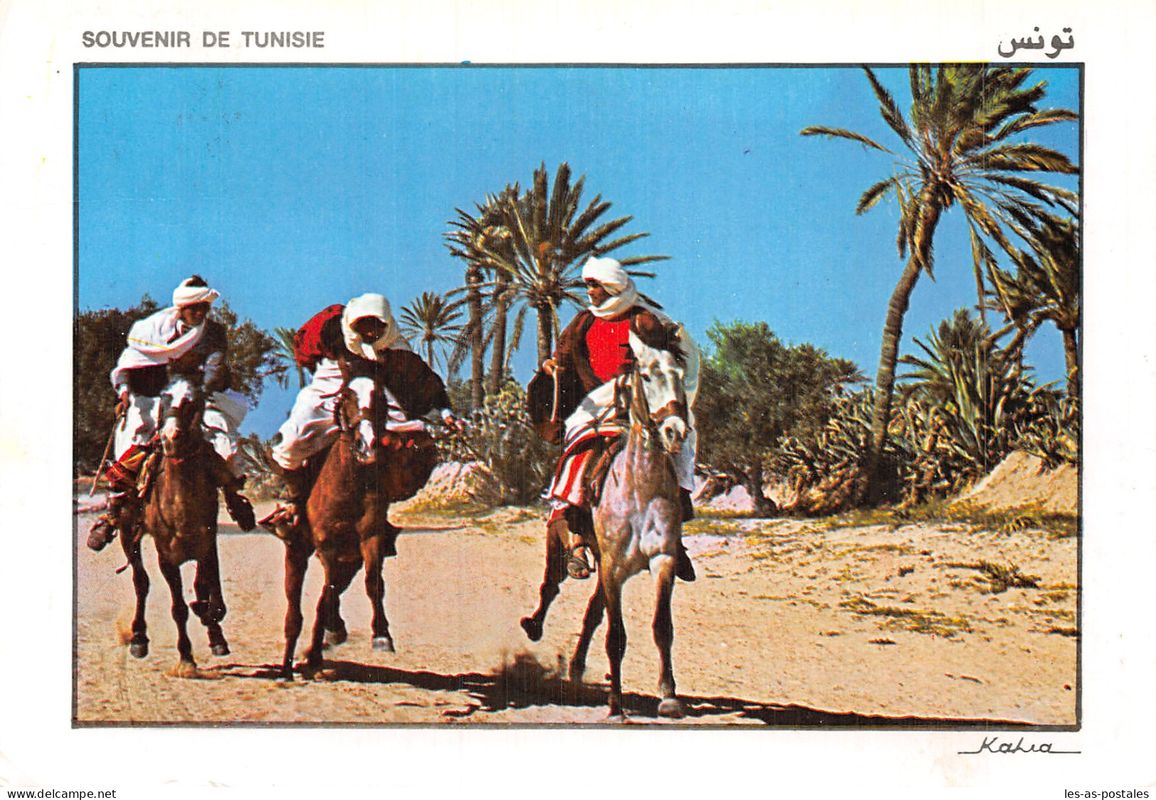 TUNISIE FANTASIA A MIDOUN - Tunisia