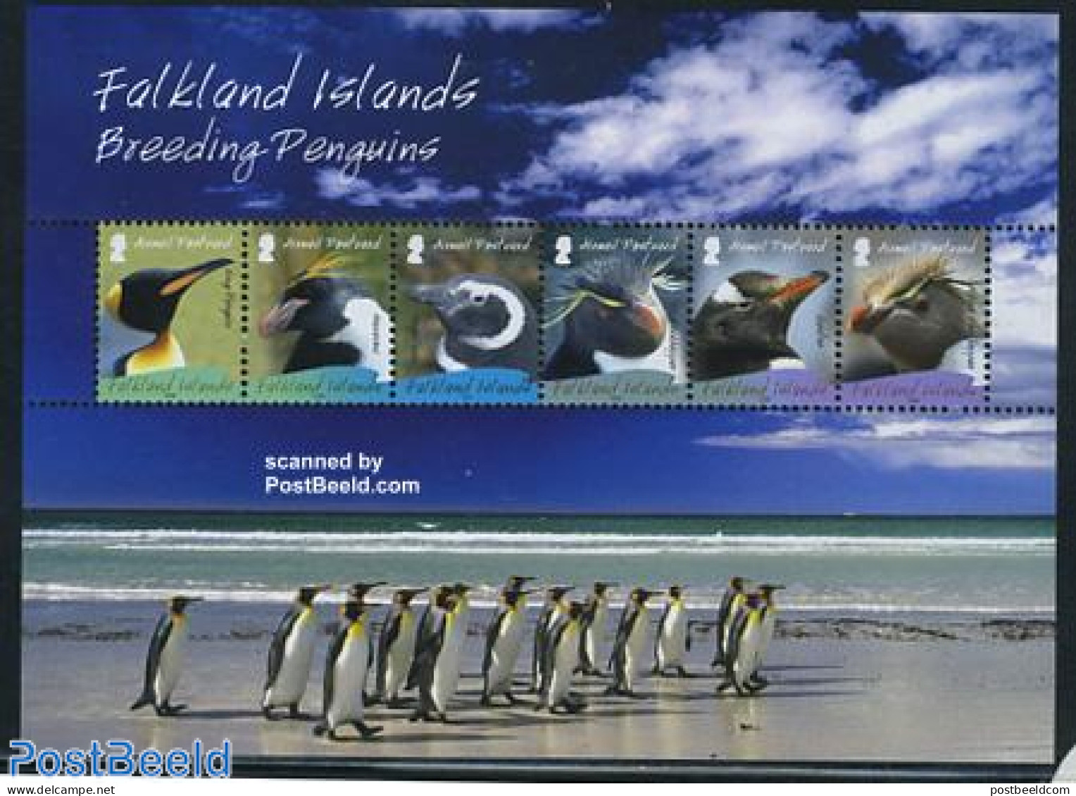 Falkland Islands 2008 Penguins S/s, Mint NH, Nature - Birds - Penguins - Sonstige & Ohne Zuordnung