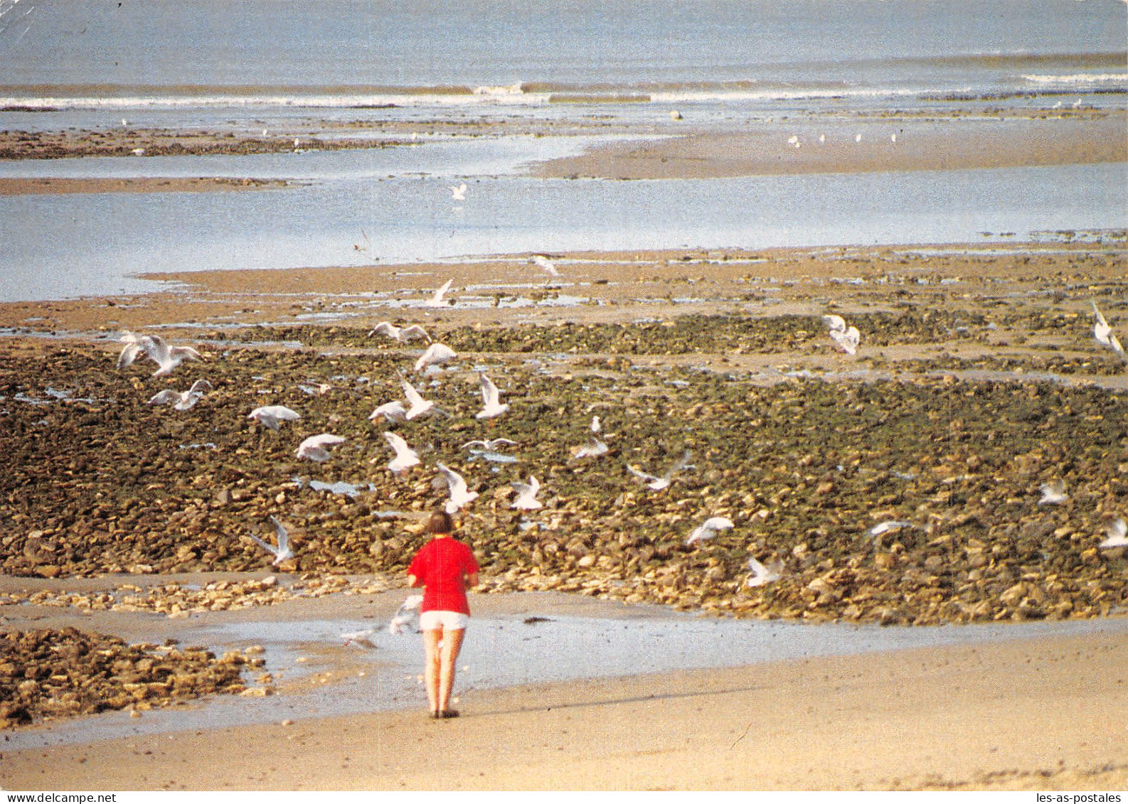 85 LA TRANCHE SUR MER LA GREVE - La Tranche Sur Mer