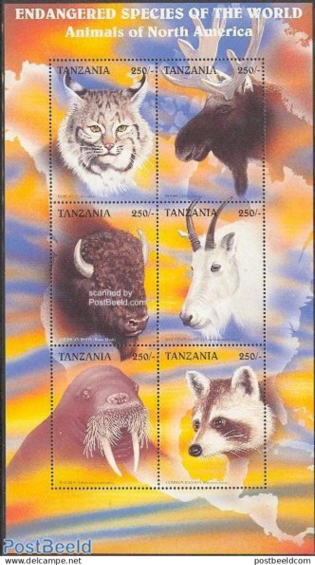 Tanzania 1997 Animals Of North America 6v M/s, Mint NH, Nature - Animals (others & Mixed) - Cat Family - Sea Mammals - Tanzanie (1964-...)
