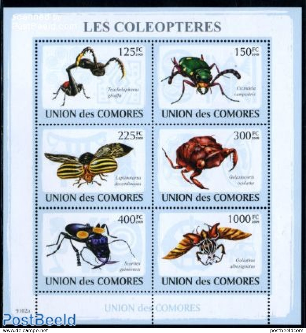 Comoros 2009 Beetles 6v M/s, Mint NH, Nature - Insects - Comores (1975-...)