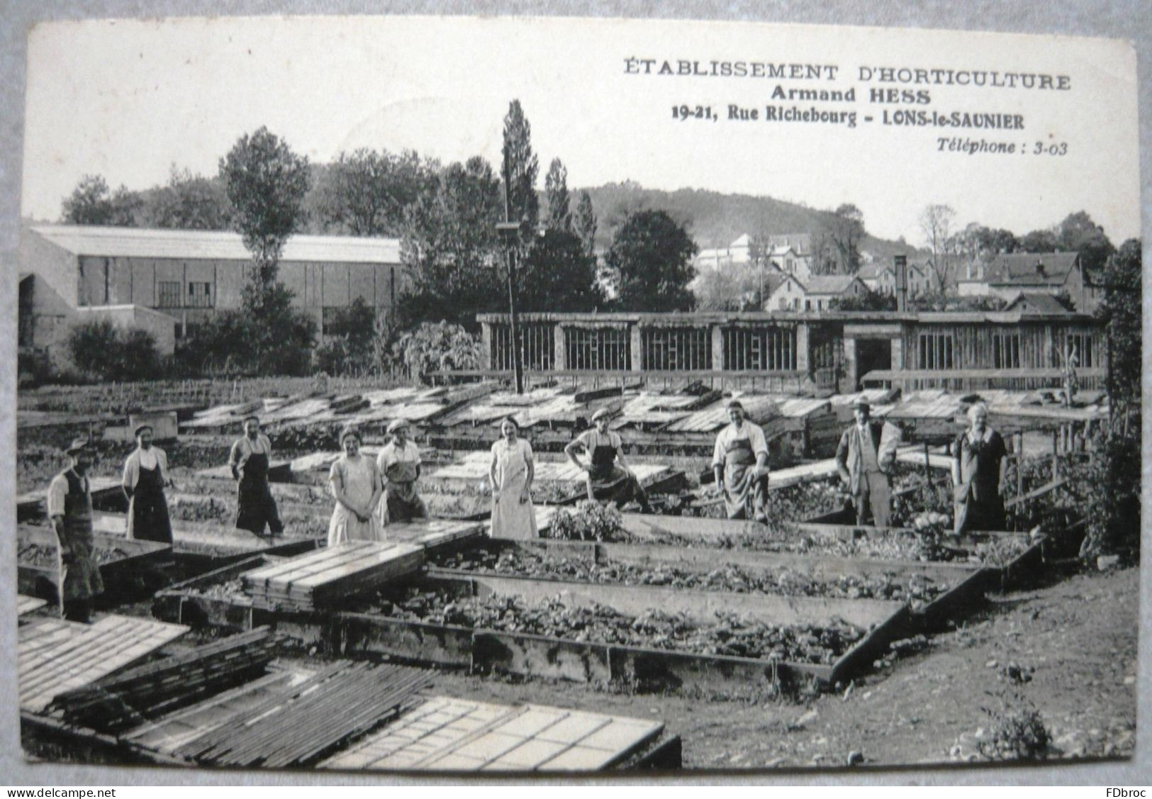 LONS LE SAUNIER Etablissement D'Horticulture Armand HESS Rue Richebourg ( Rare ! Fleur Plante Jardinier ) - Lons Le Saunier