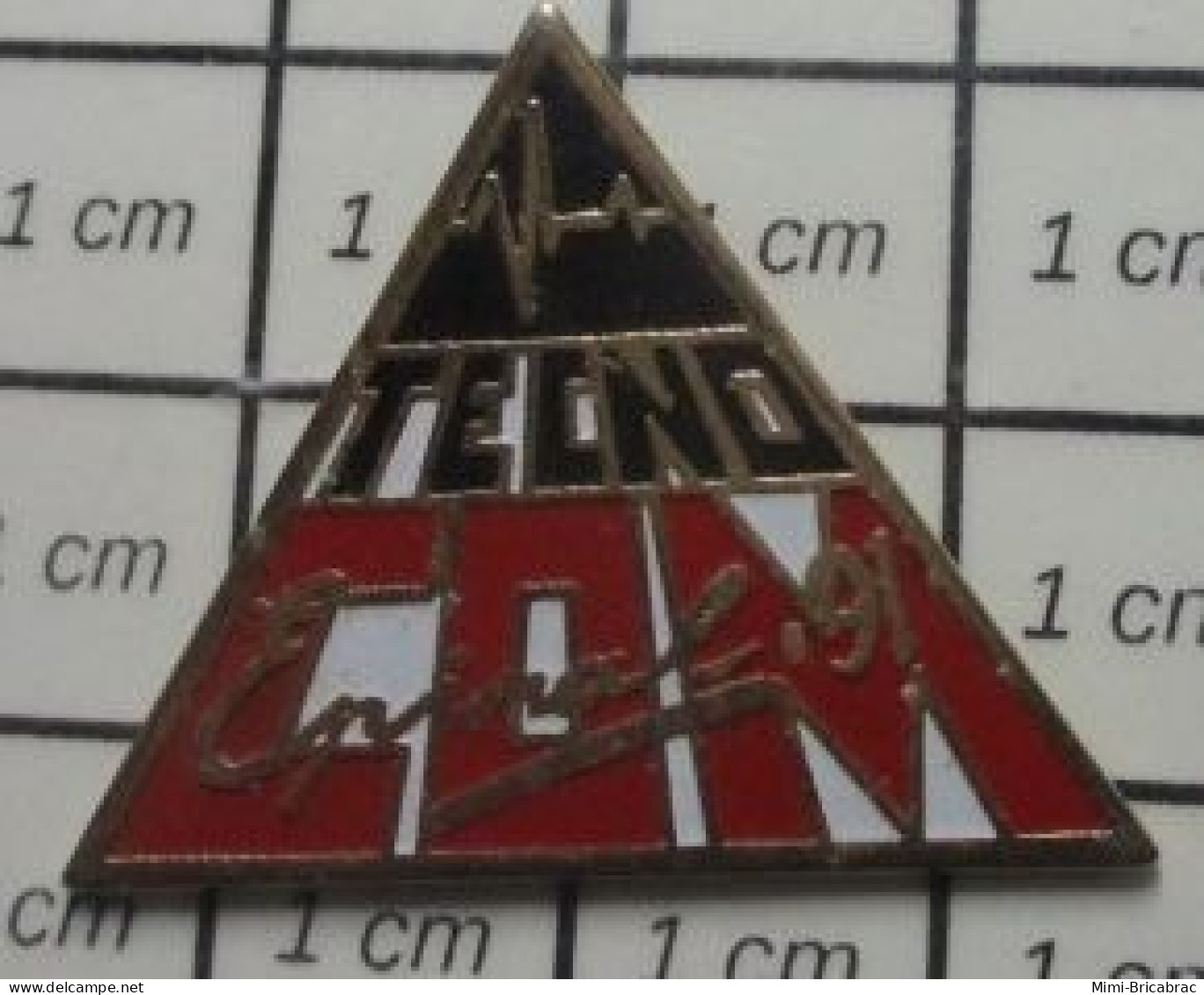 3617 Pin's Pins / Beau Et Rare / VILLES / TECNOCOM EPINAL 1991 - Villes