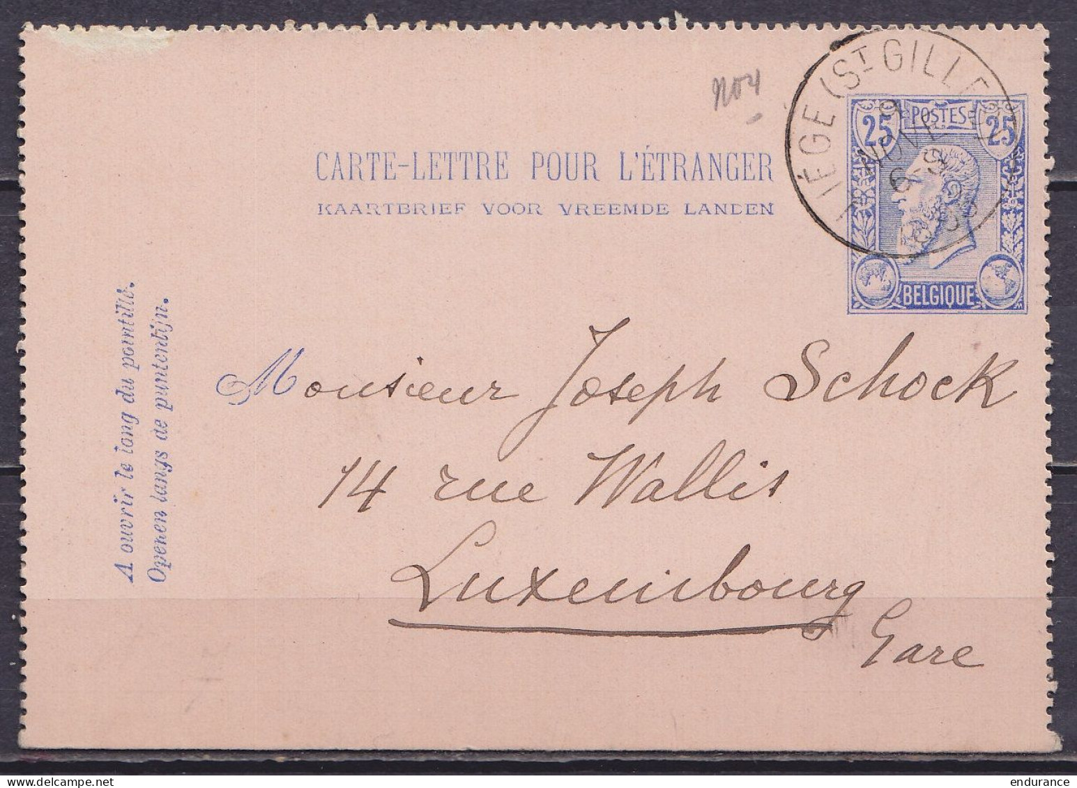 EP Carte-lettre Pour L'étranger 25c (type N°48) Càd LIEGE (ST-GILLES) /9 NOV 1895 Pour LUXEMBOURG Gare (au Dos: Càd Arri - Kartenbriefe