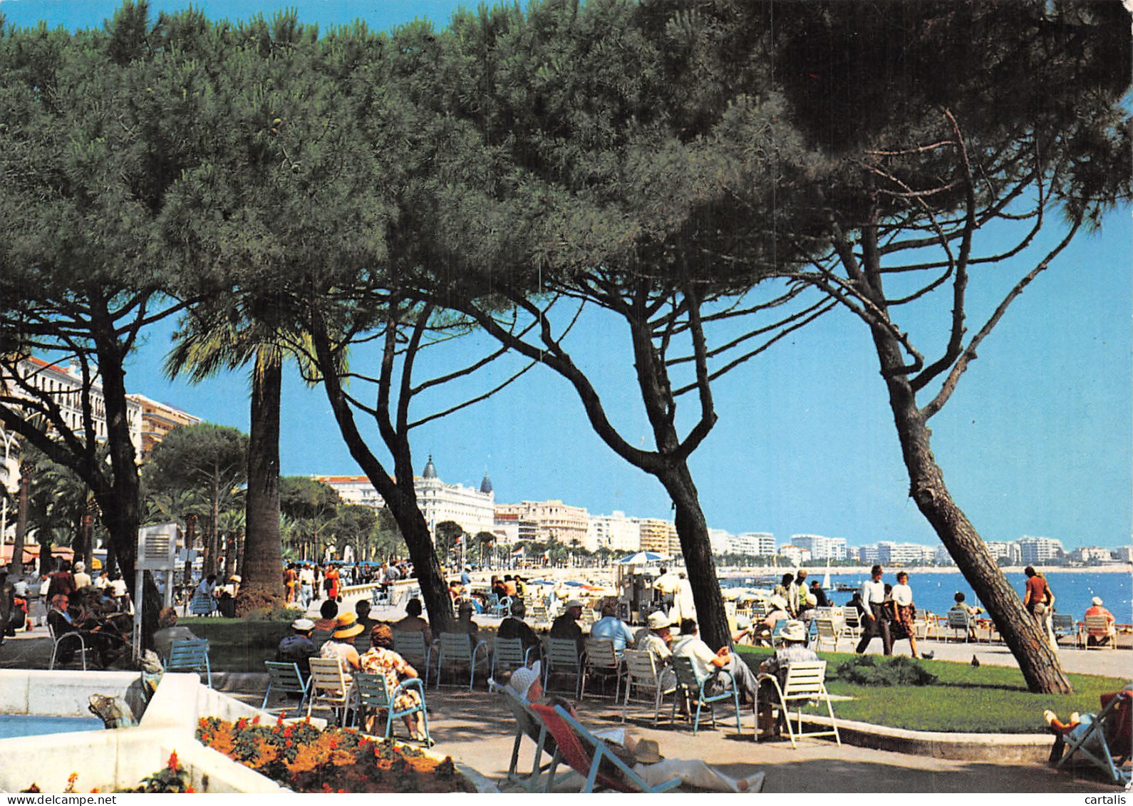 06-CANNES-N° 4440-D/0353 - Cannes