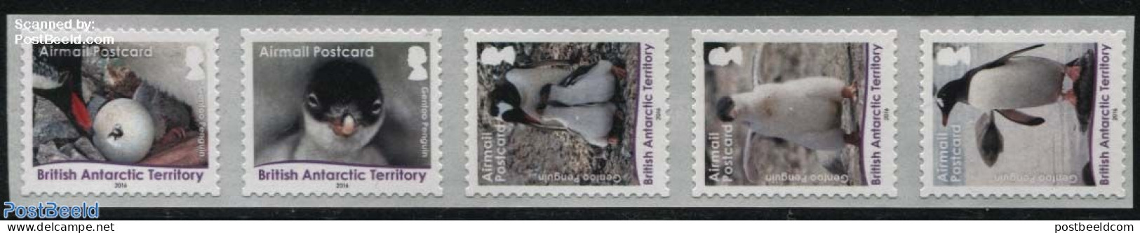 British Antarctica 2016 Gentoo Penguins 5v S-a, Mint NH, Nature - Birds - Penguins - Other & Unclassified