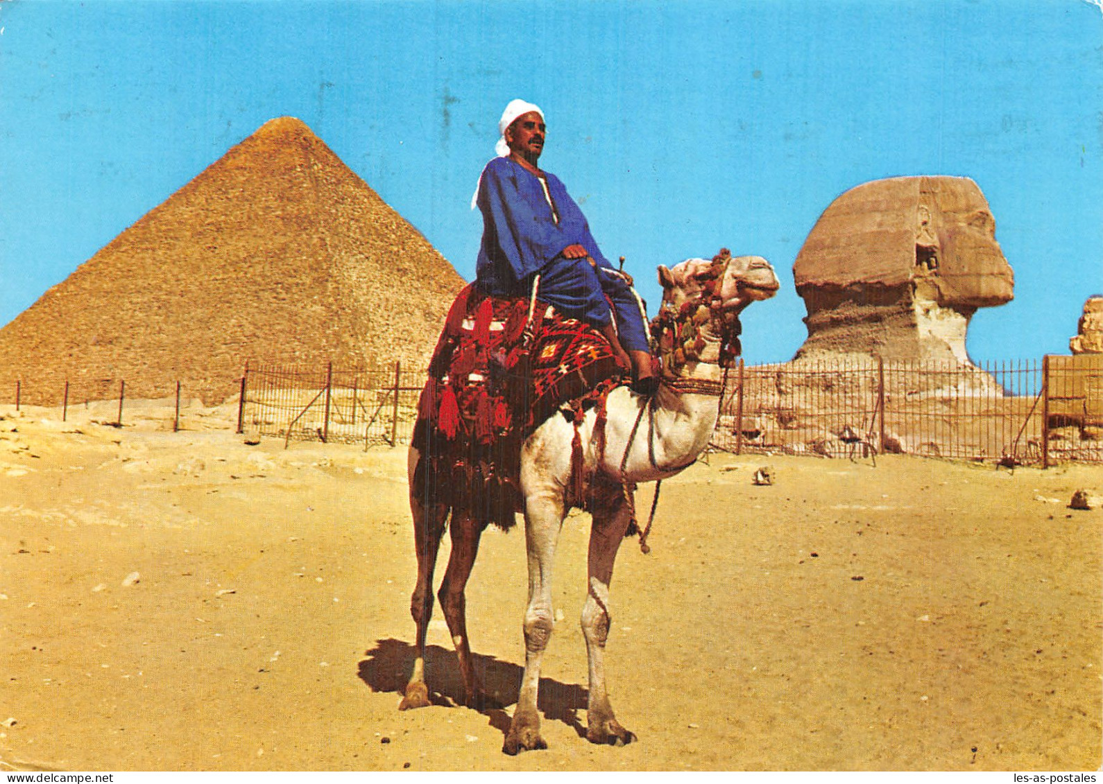 EGYPT GIZA CAMEL - Gizeh