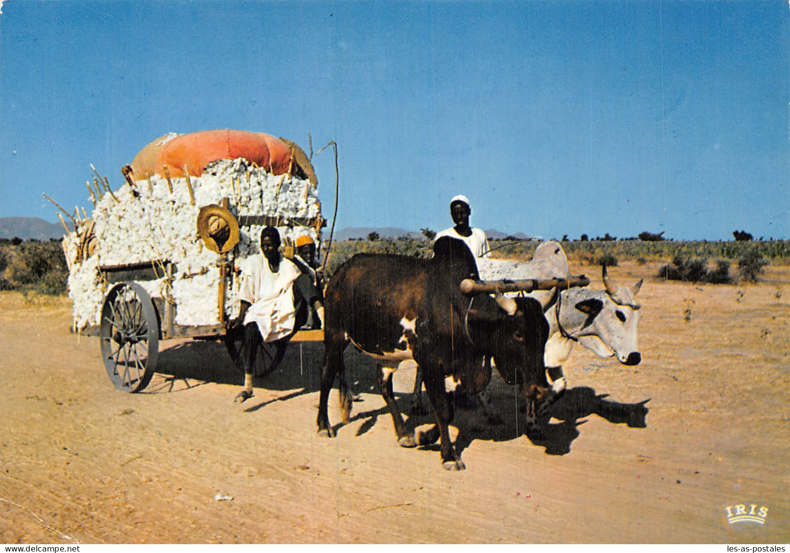 ALGERIE SCENES ET TYPES CART OF COTTON WOOL - Scene & Tipi