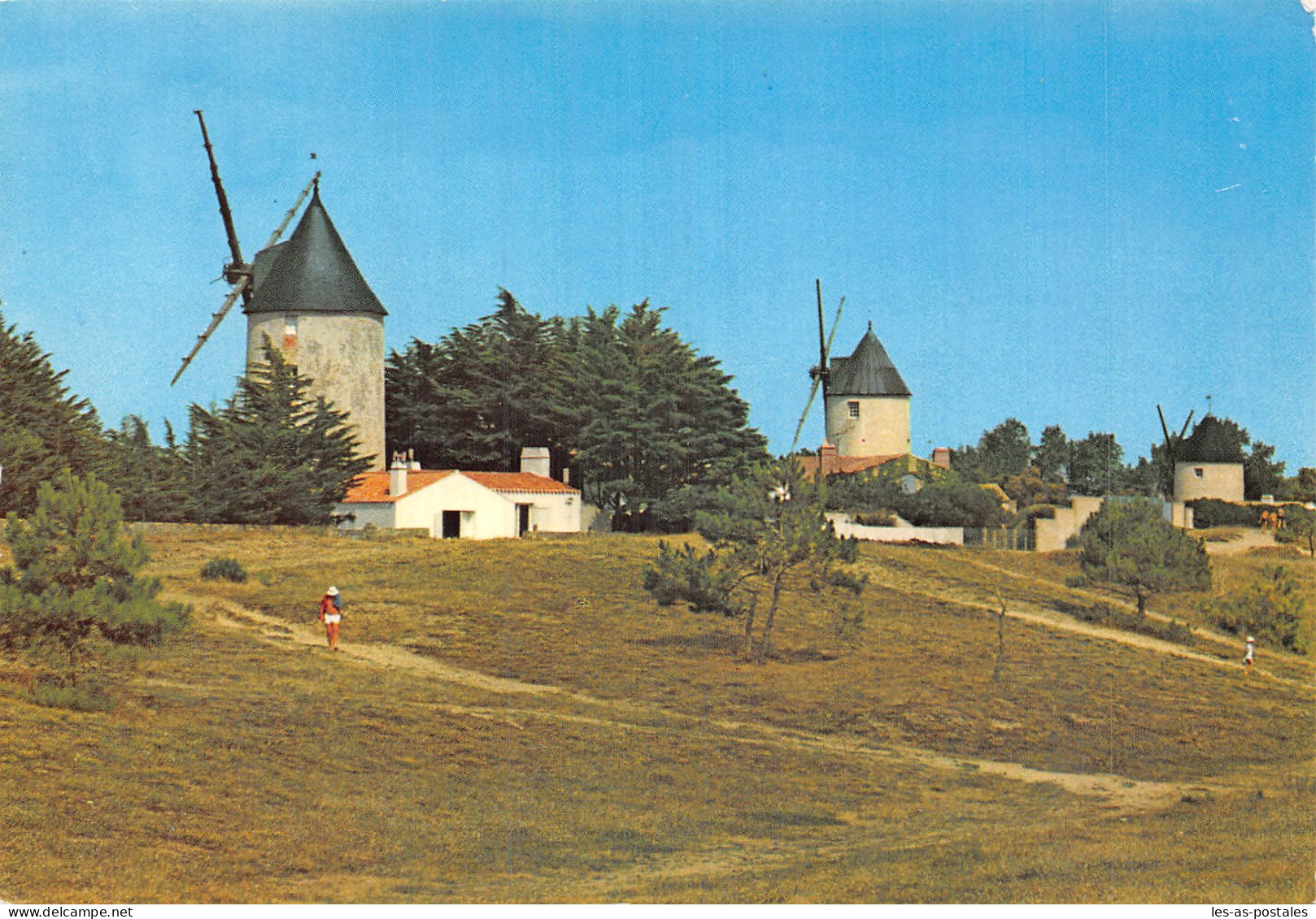 85 NOIRMOUTIER LES MOULINS - Noirmoutier