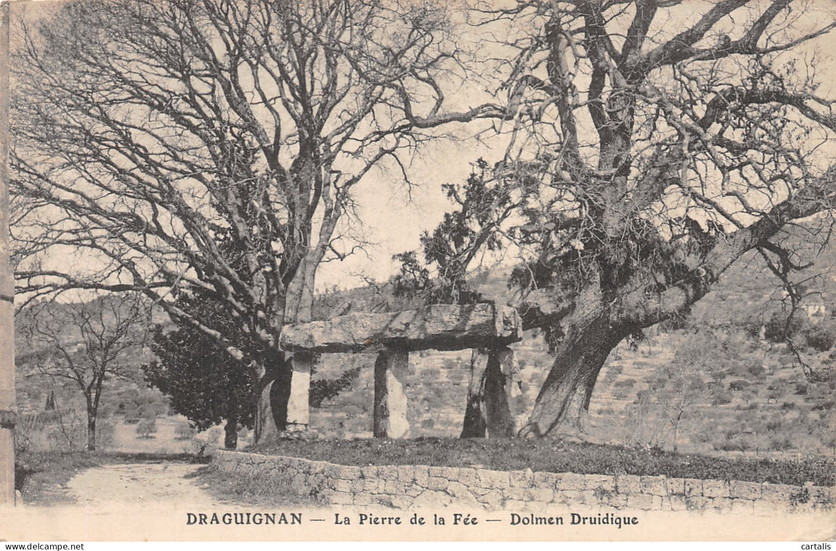 83-DRAGUIGNAN-N° 4441-E/0045 - Draguignan