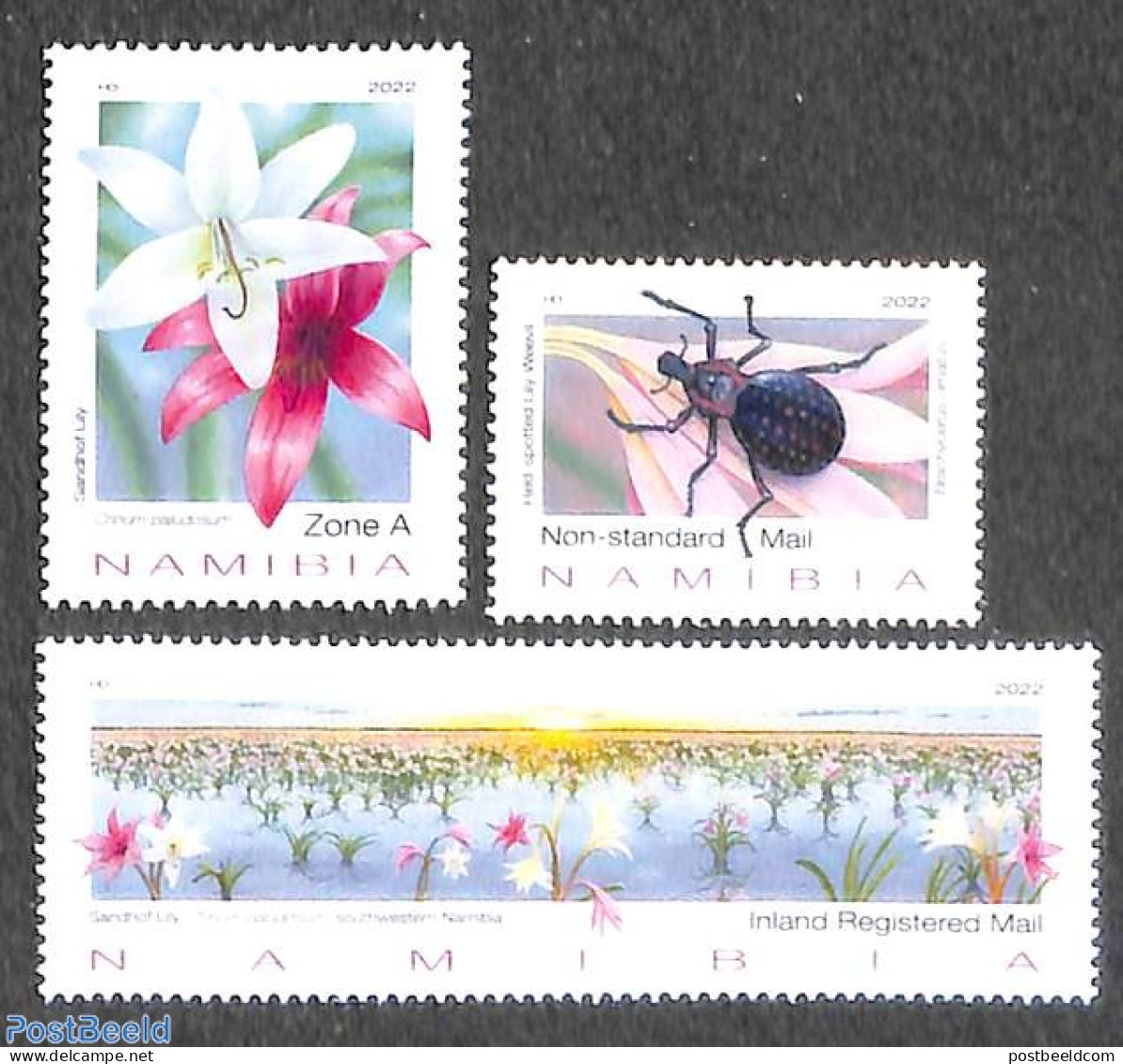 Namibia 2022 Sandhof Lily 3v, Mint NH, Nature - Flowers & Plants - Insects - Namibia (1990- ...)