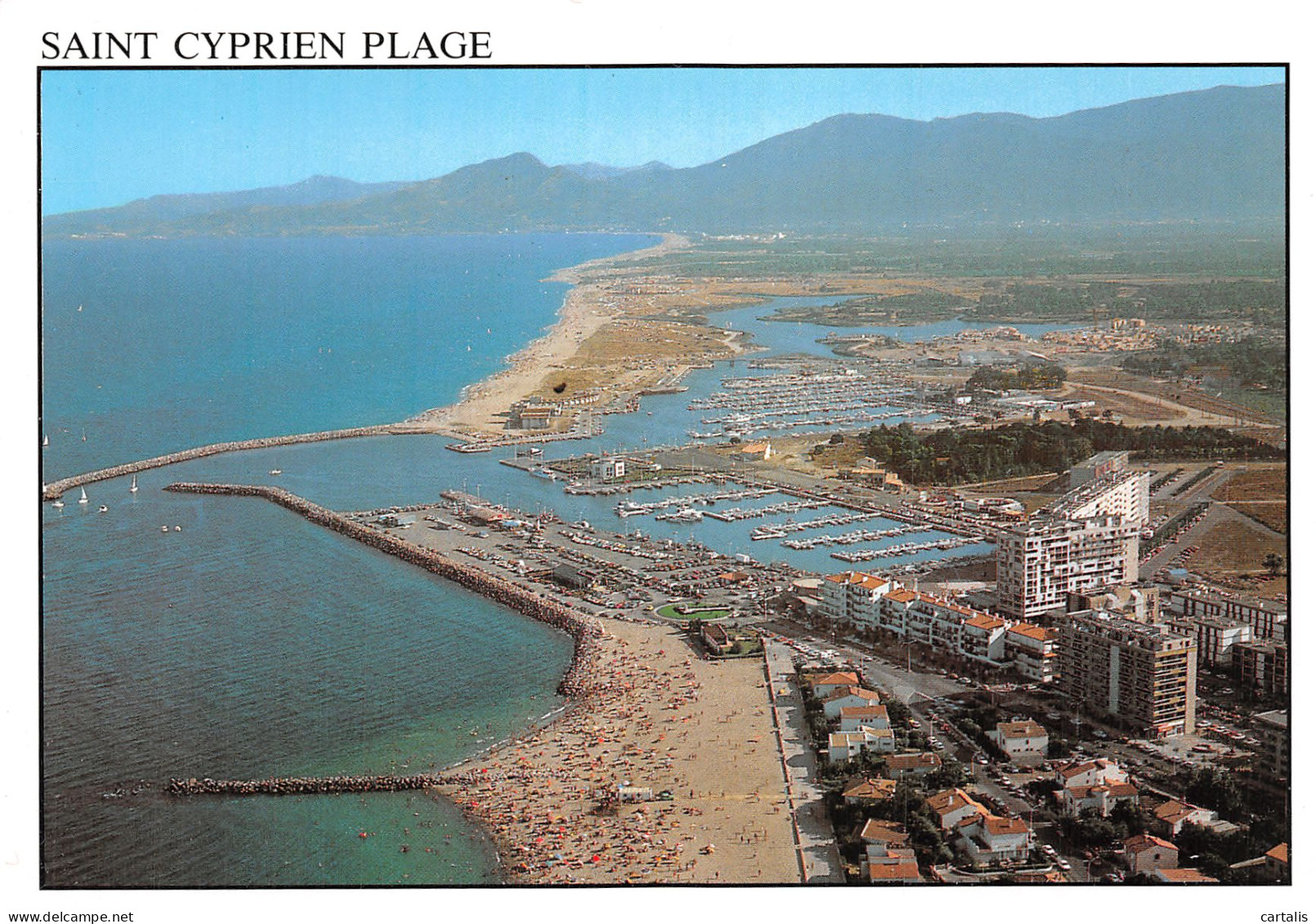 66-SAINT CYPRIEN PLAGE-N° 4441-D/0291 - Saint Cyprien