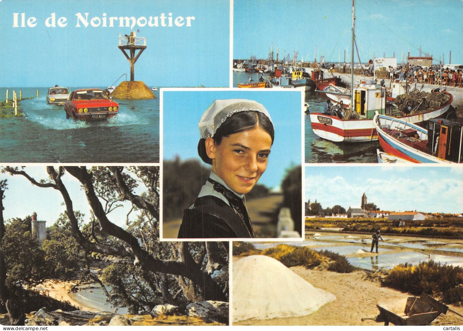 85-ILE DE NOIRMOUTIER-N° 4441-D/0231 - Ile De Noirmoutier