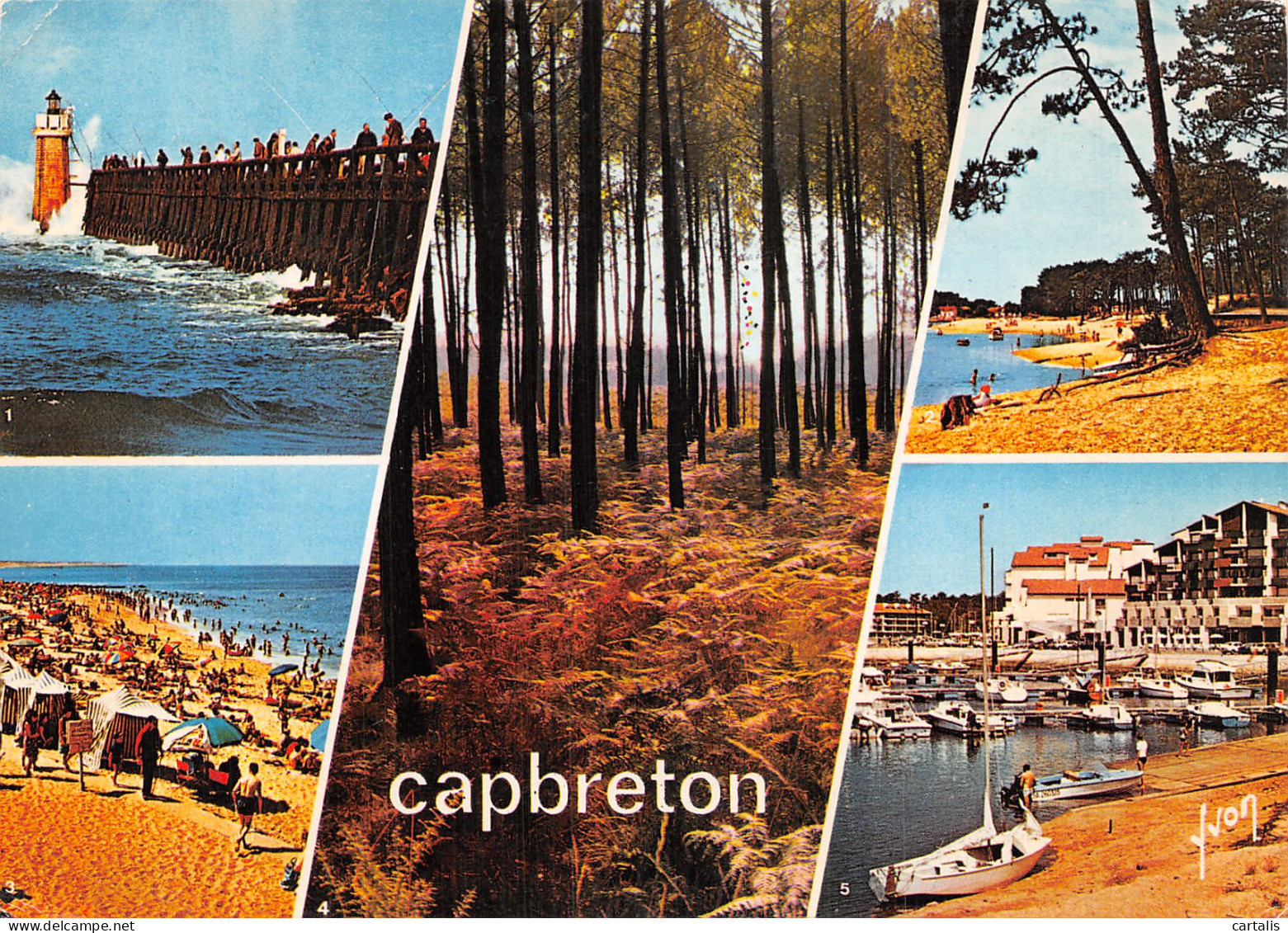 40-CAPBRETON-N° 4441-D/0221 - Capbreton