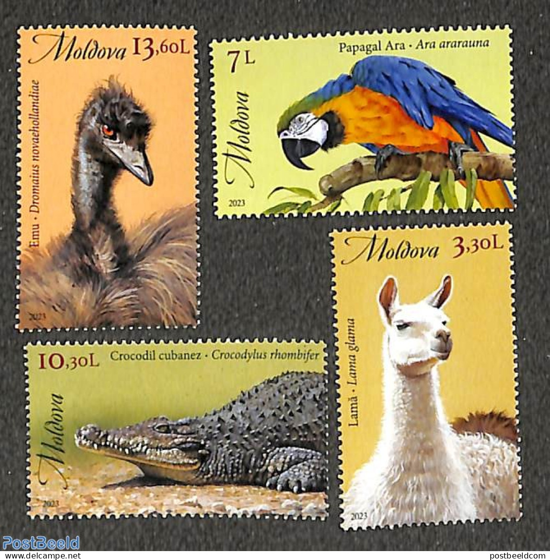 Moldova 2023 Chisinau Zoo 4v, Mint NH, Nature - Animals (others & Mixed) - Birds - Crocodiles - Parrots - Other & Unclassified