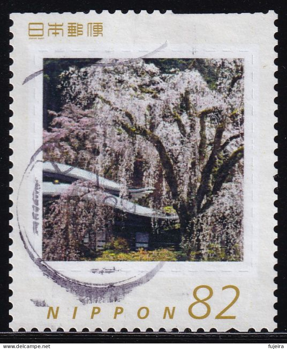 Japan Personalized Stamp, Cherry Blossoms (jpw0058) Used - Usati