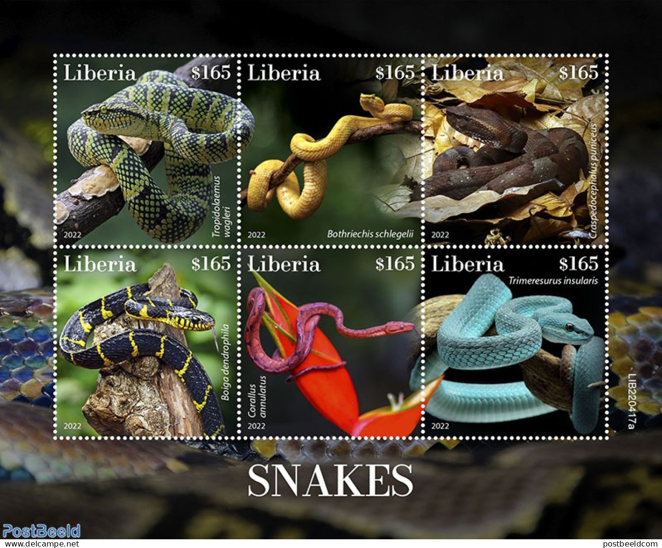 Liberia 2022 Snakes, Mint NH, Nature - Snakes - Other & Unclassified