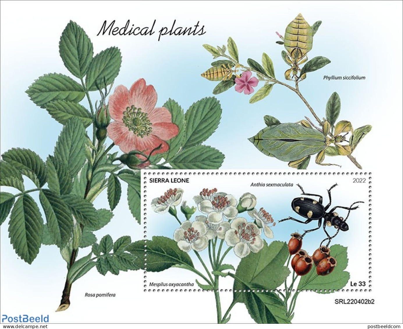 Sierra Leone 2022 Medical Plants, Mint NH, Health - Nature - Flowers & Plants - Insects - Sonstige & Ohne Zuordnung