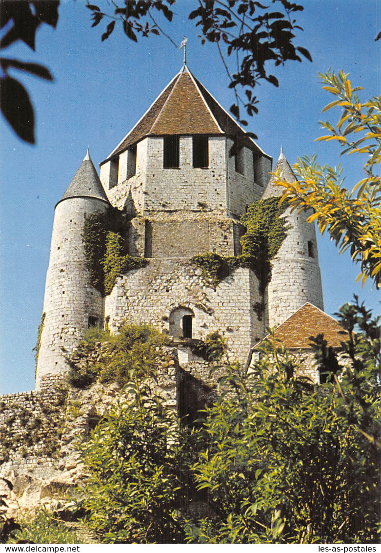 77 PROVINS TOUR DE CESAR - Provins