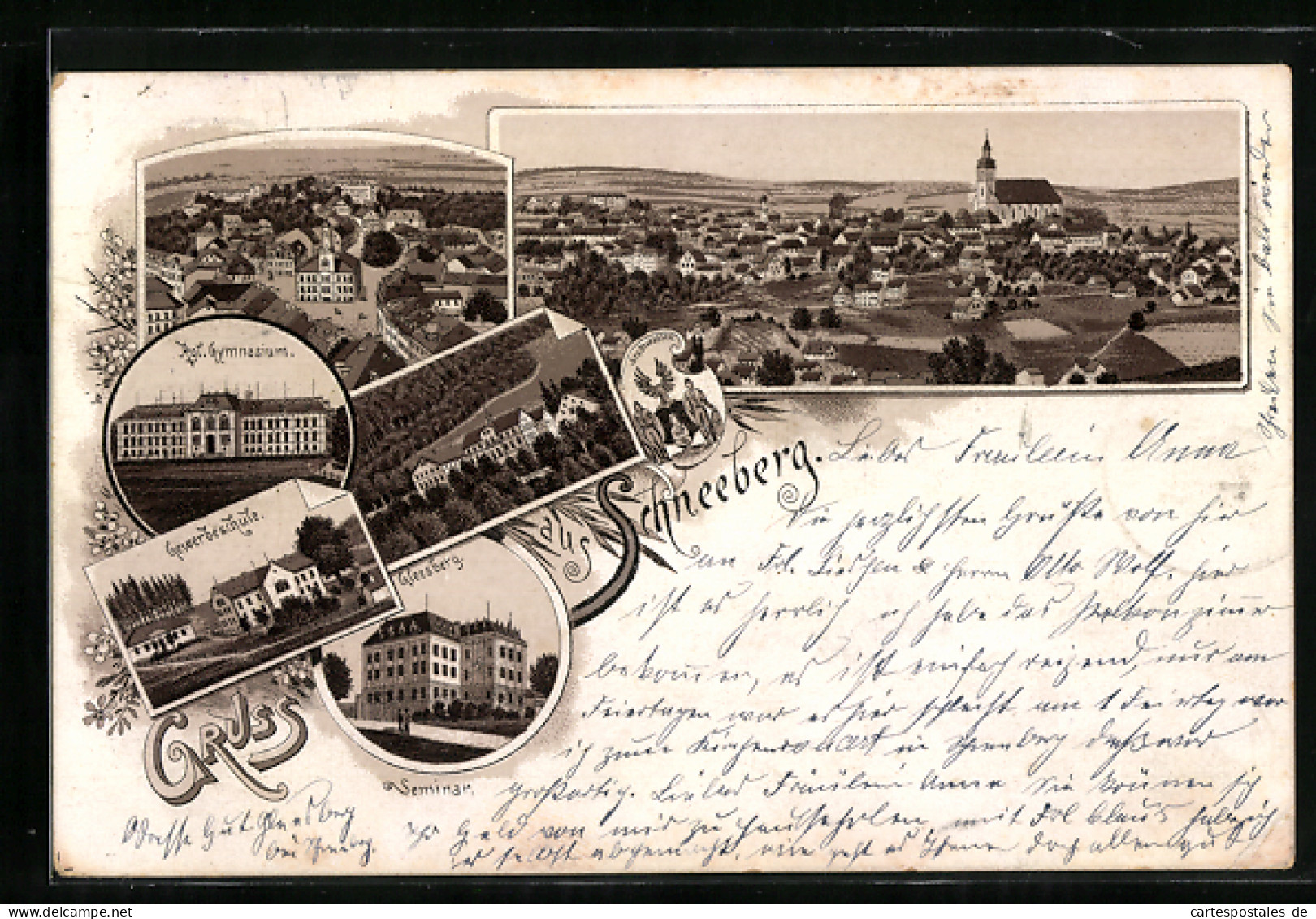Vorläufer-Lithographie Schneeberg / Erzgebirge, 1895, Gewerbeschule, Kgl. Gymnasium Und Stadtwappen  - Schneeberg