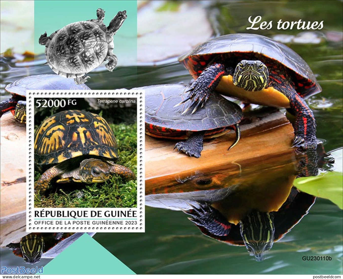 Guinea, Republic 2023 Turtles, Mint NH, Nature - Turtles - Sonstige & Ohne Zuordnung