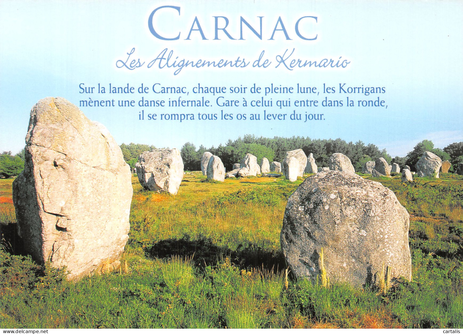 56-CARNAC-N° 4442-C/0323 - Carnac