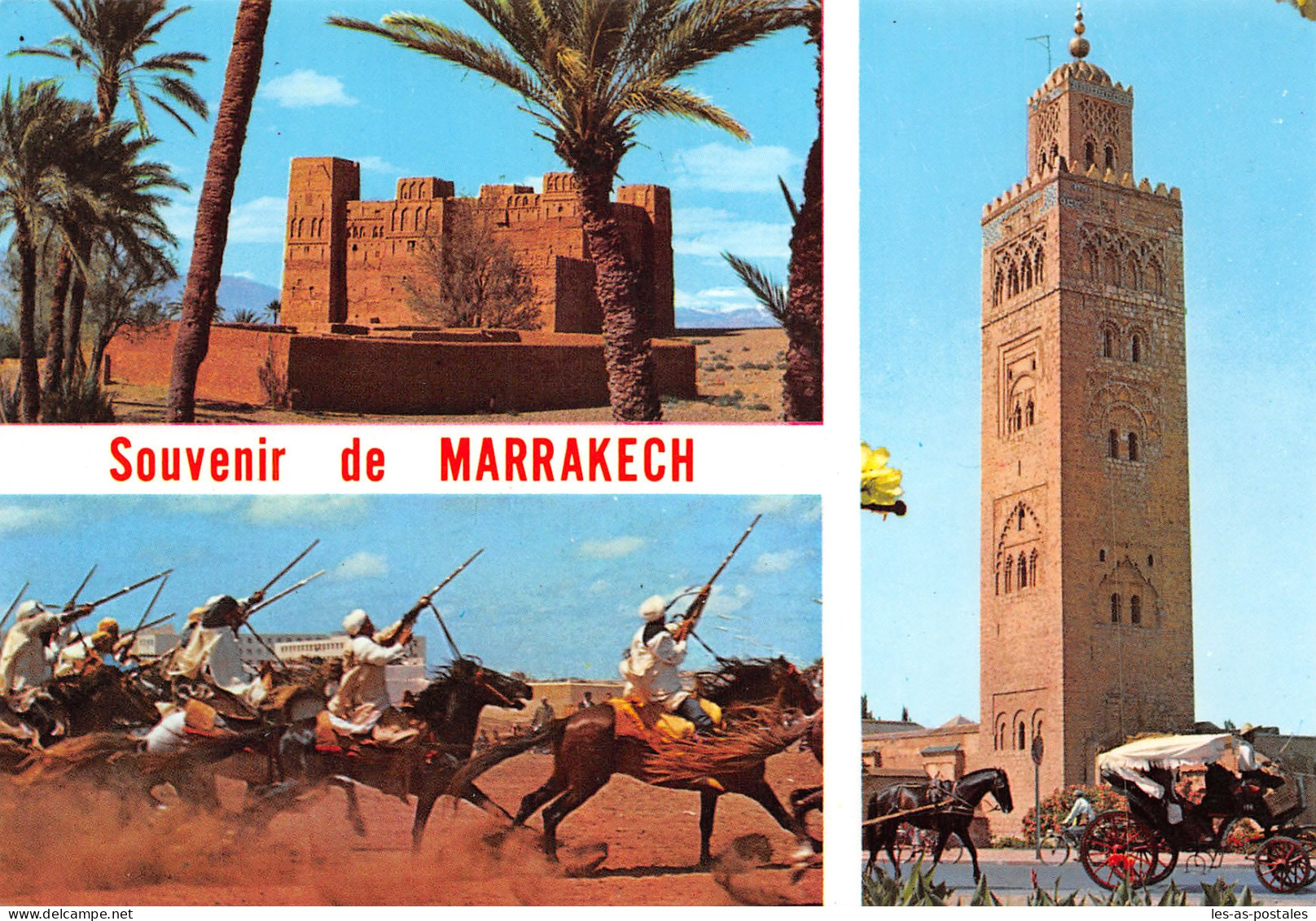 MAROC MARRAKECH - Marrakech