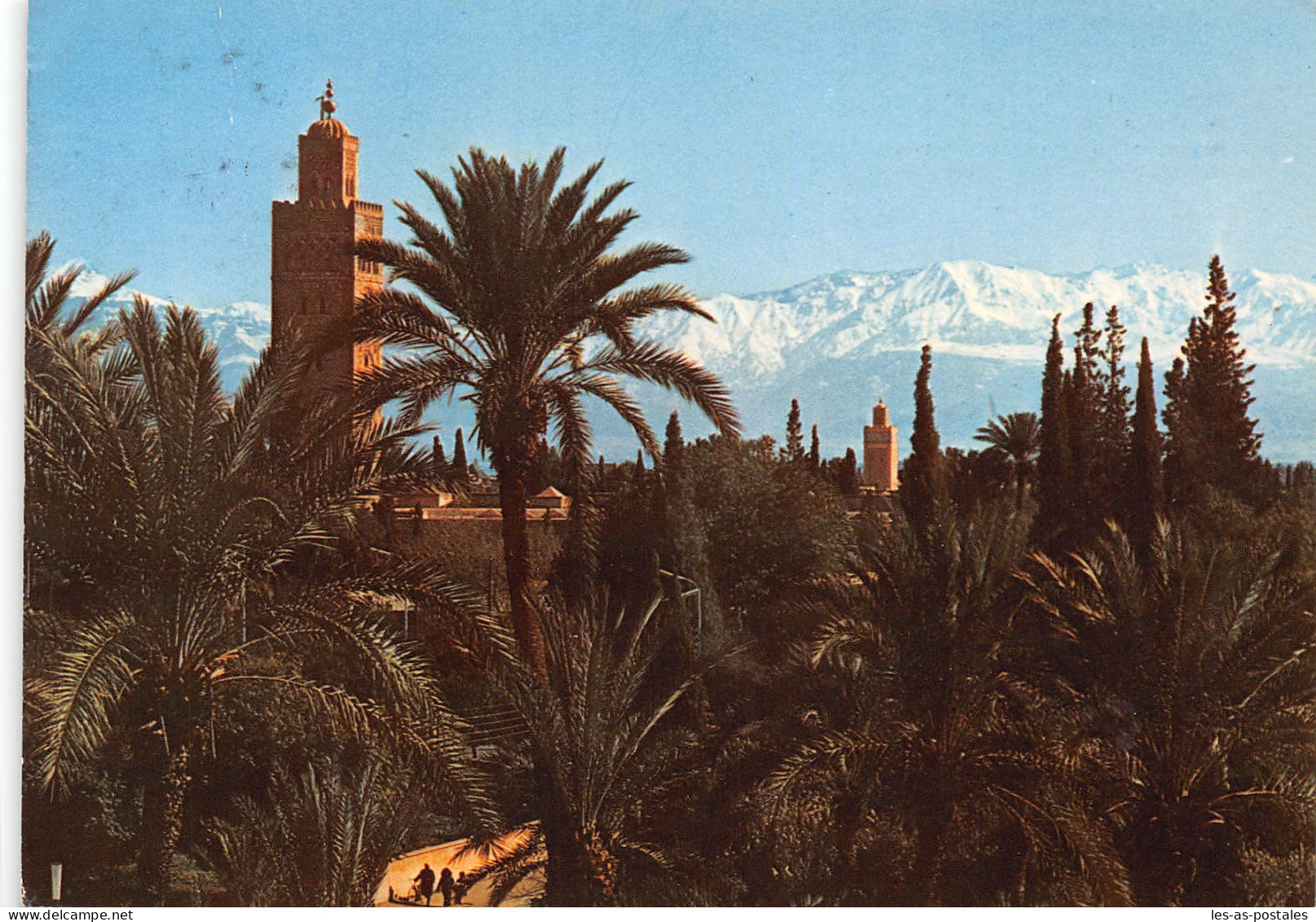 MAROC MARRAKECH - Marrakesh