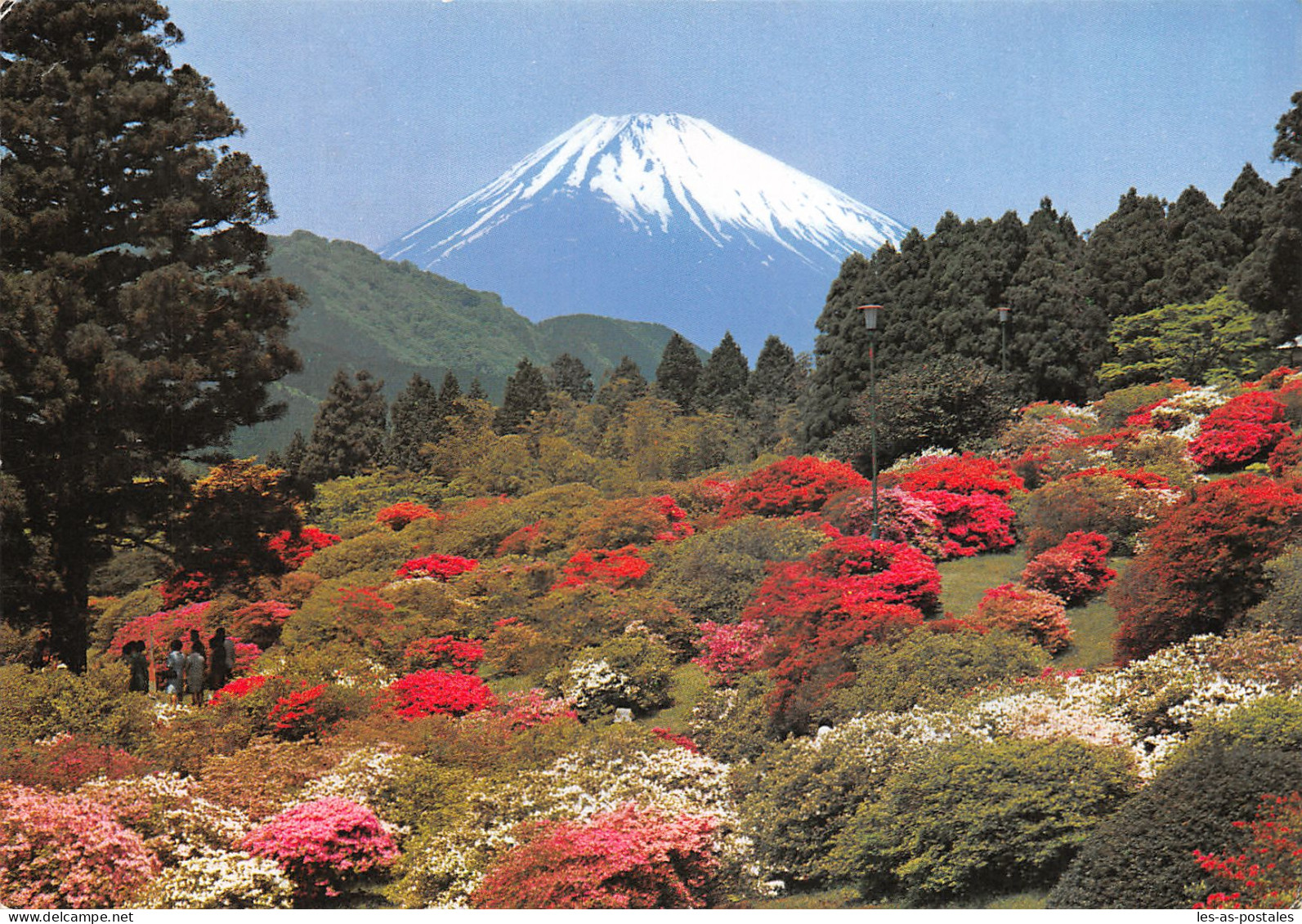JAPON NIPPON MT FUJI EARLY SPRING - Other & Unclassified