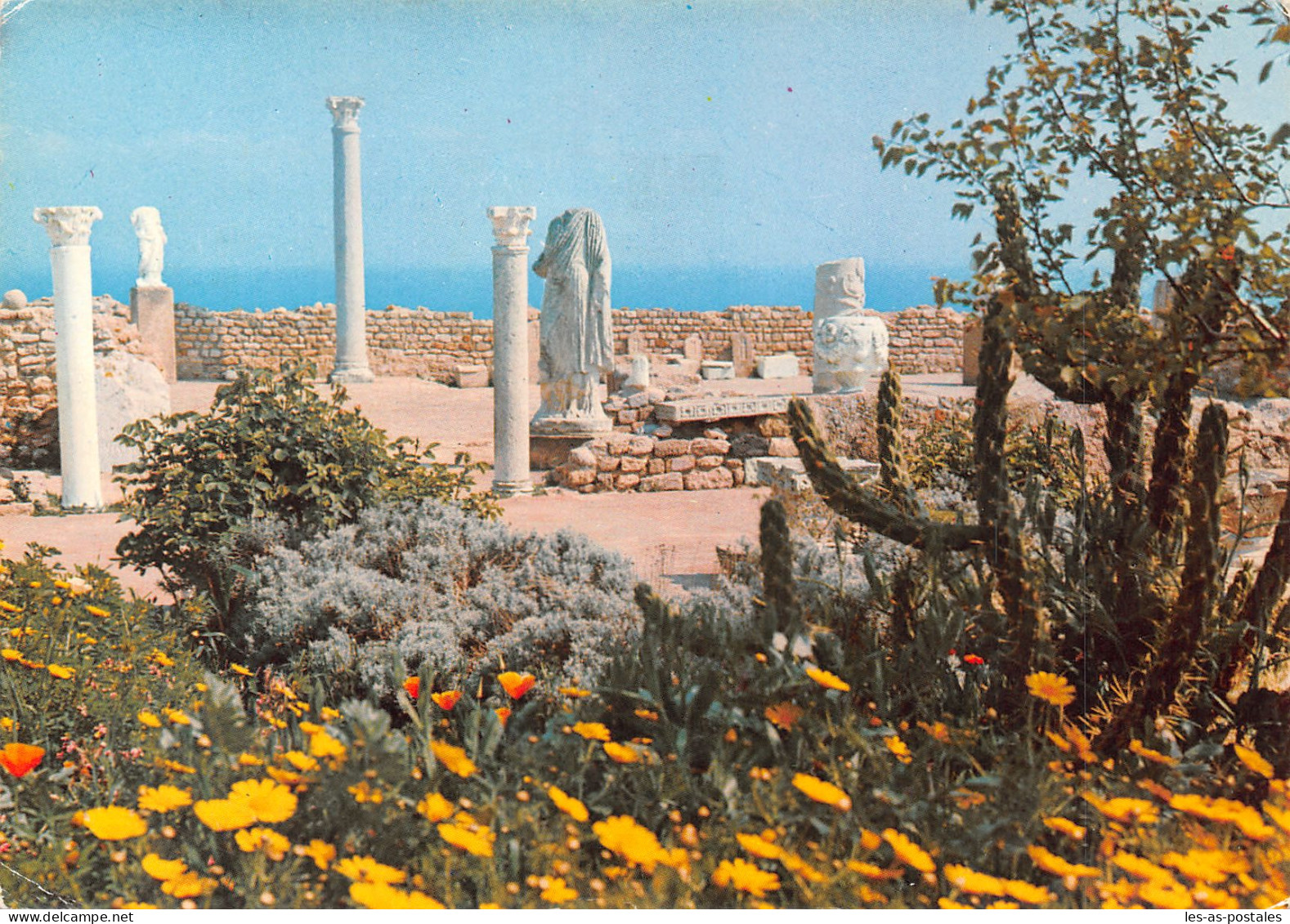 TUNISIE CARTHAGE - Tunisia