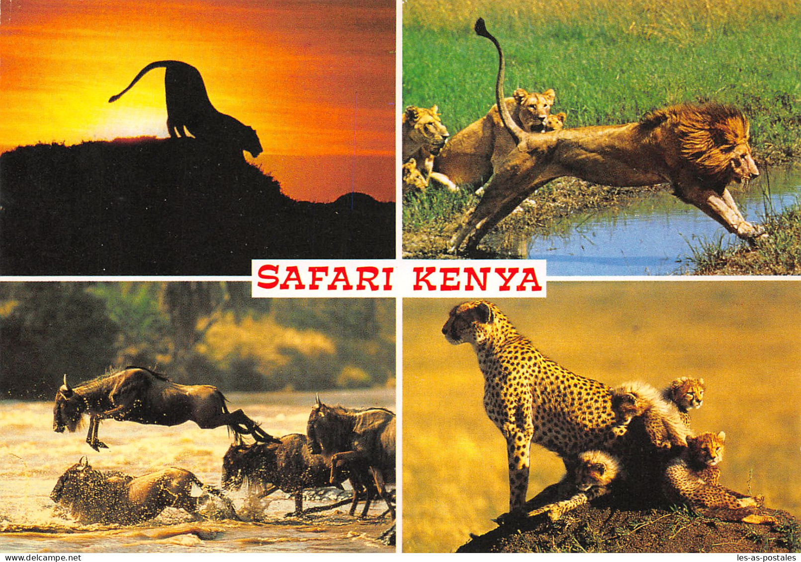 KENYA SAFARI - Kenia