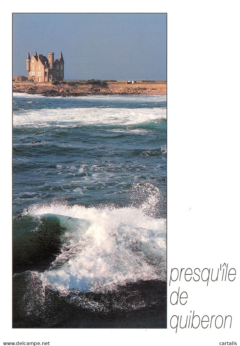 56-QUIBERON-N° 4443-A/0041 - Quiberon