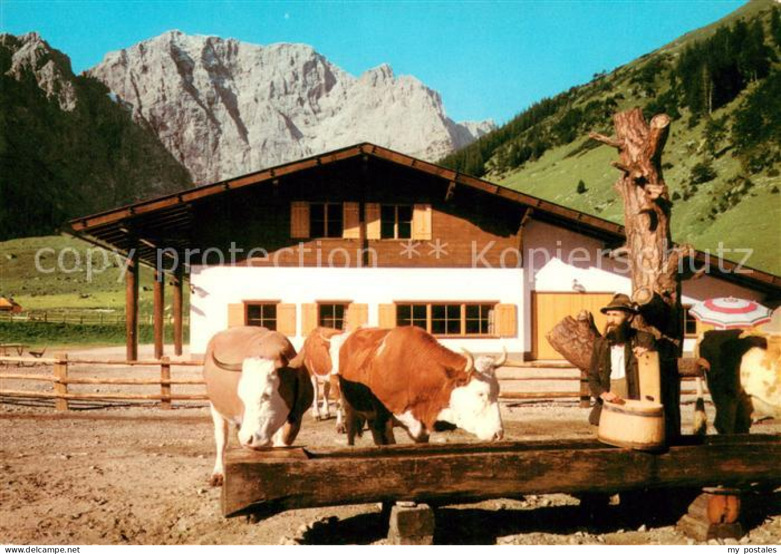 73678423 Engalm Rasthuette Engalm Gegen Grubenkarspitze Karwendelgebirge Viehtra - Sonstige & Ohne Zuordnung