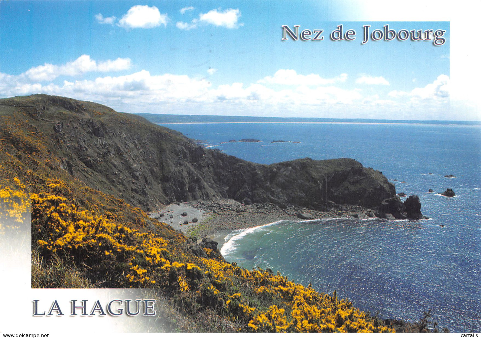 50-LA HAGUE LE NEZ DE JOBOURG-N° 4442-D/0231 - Autres & Non Classés