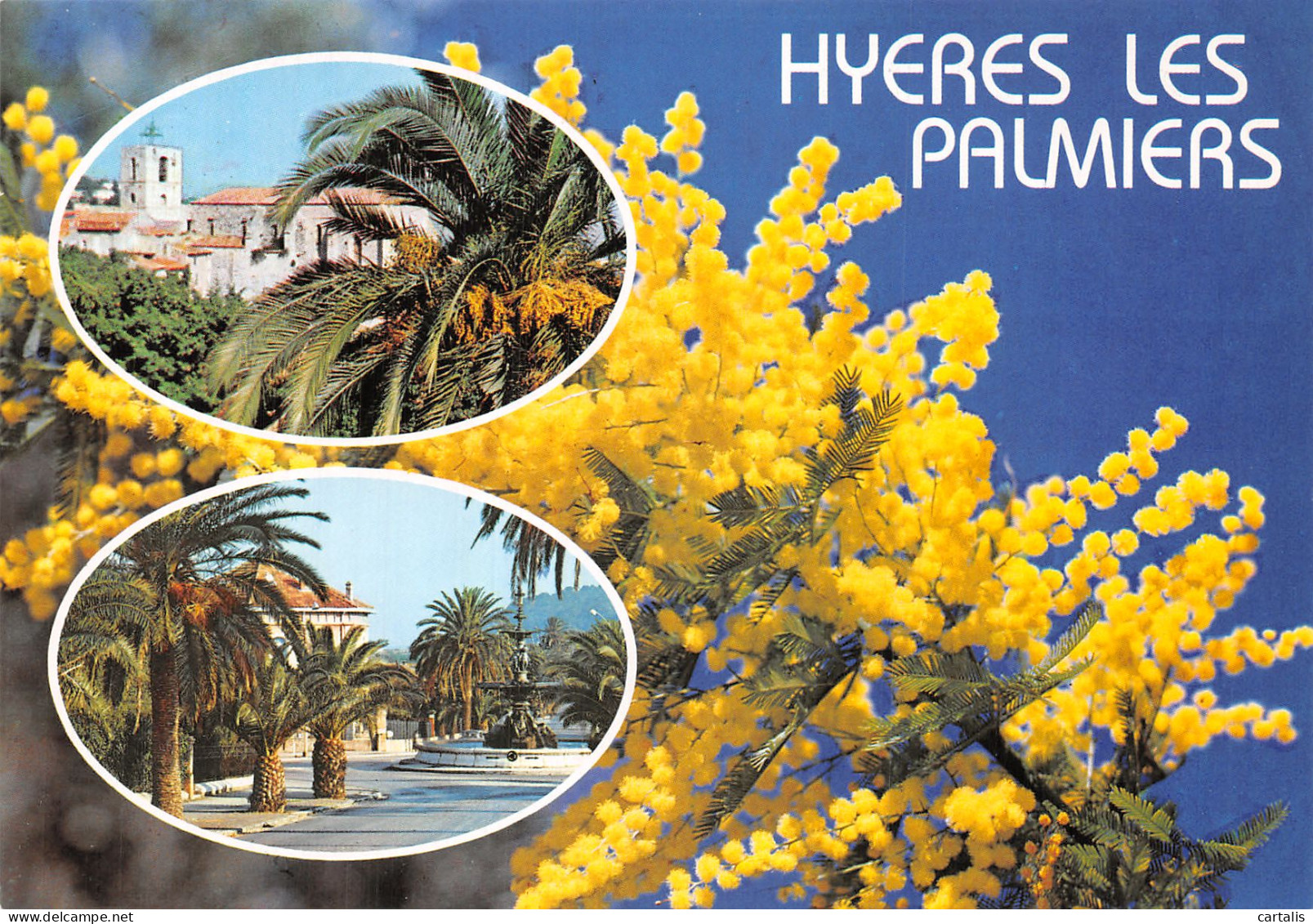 83-HYERES LES PALMIERS-N° 4443-C/0097 - Hyeres