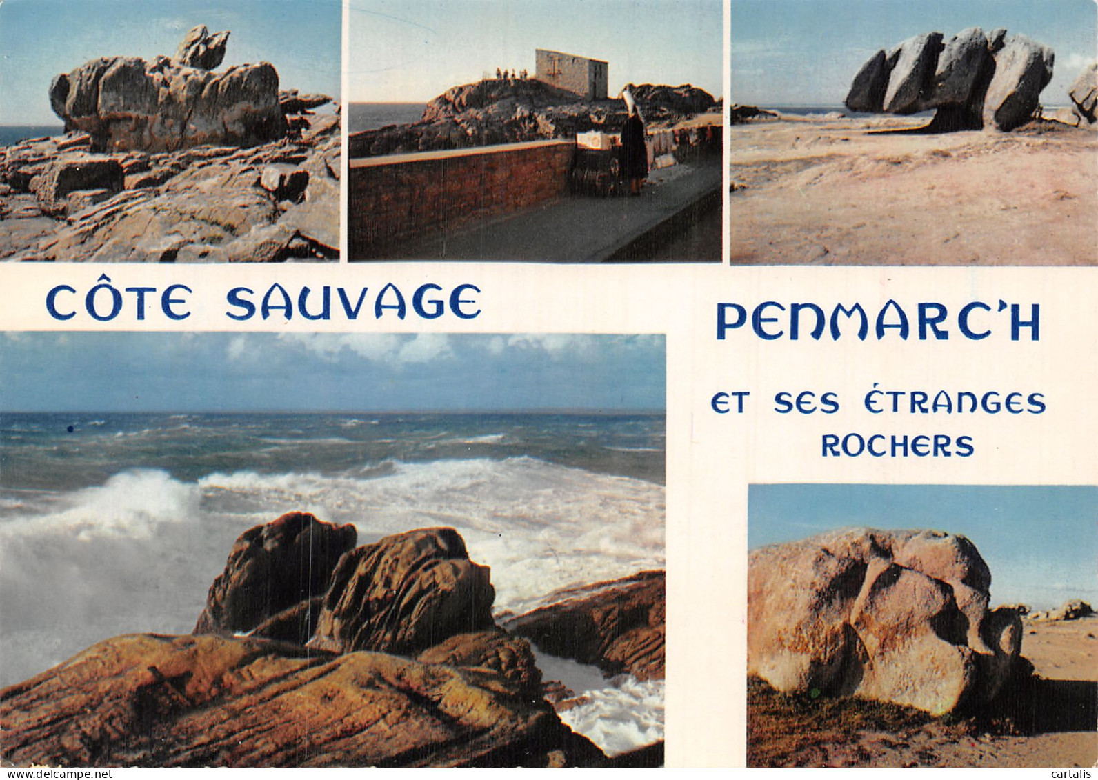 29-PENMARCH LA COTE SAUVAGE-N° 4443-C/0051 - Penmarch